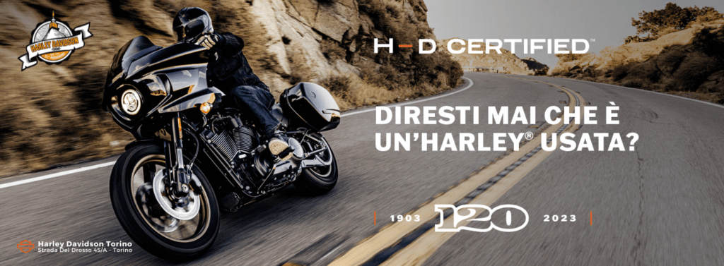 Harley-Davidson-Torino-Moto-Usate