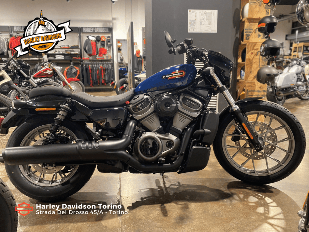 Harley-Davidson-Torino-NIghtster-Special-Blue