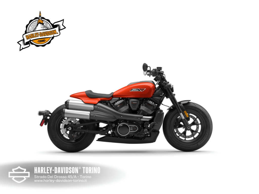 Harley-Davidson-Torino (13)