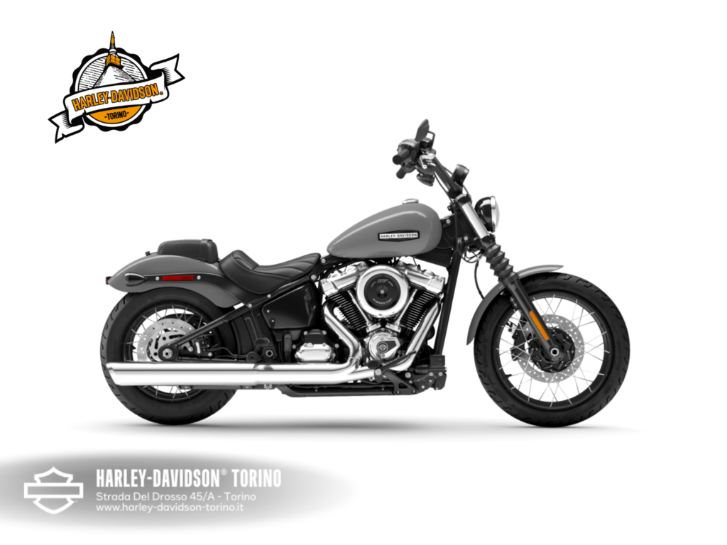 Harley-Davidson-Torino (8)