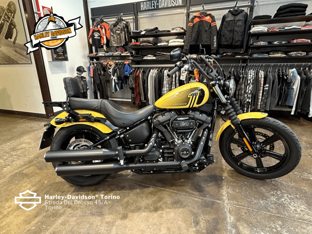 Harley-Davidson-Torino (4)