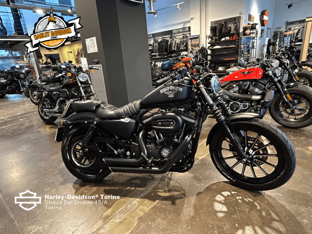 Harley-Davidson-Torino (5)