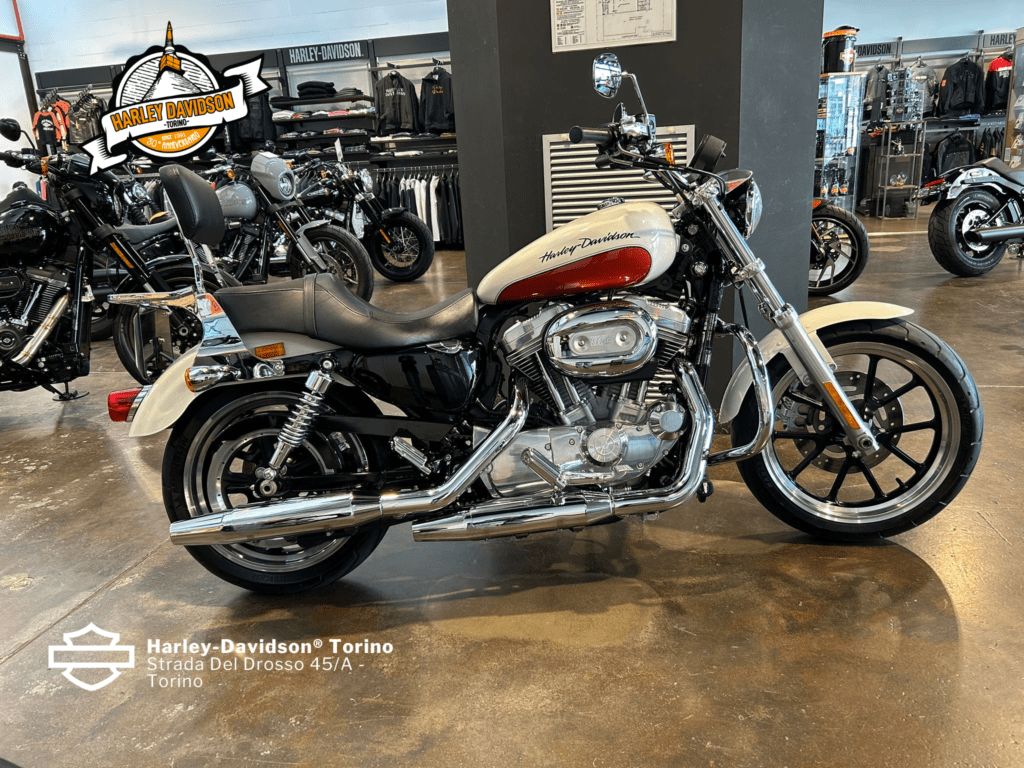 Harley-Davidson-Torino (5)