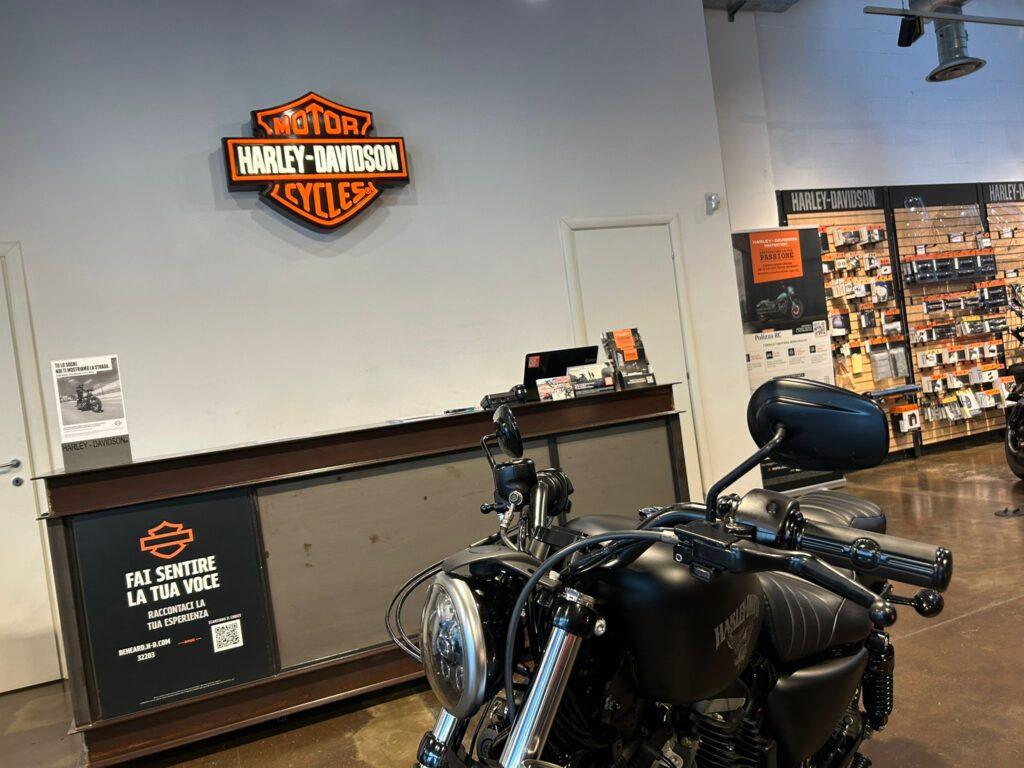 WhatsApp Image 2026-04-21 at 18.13.49 (1) - Copia