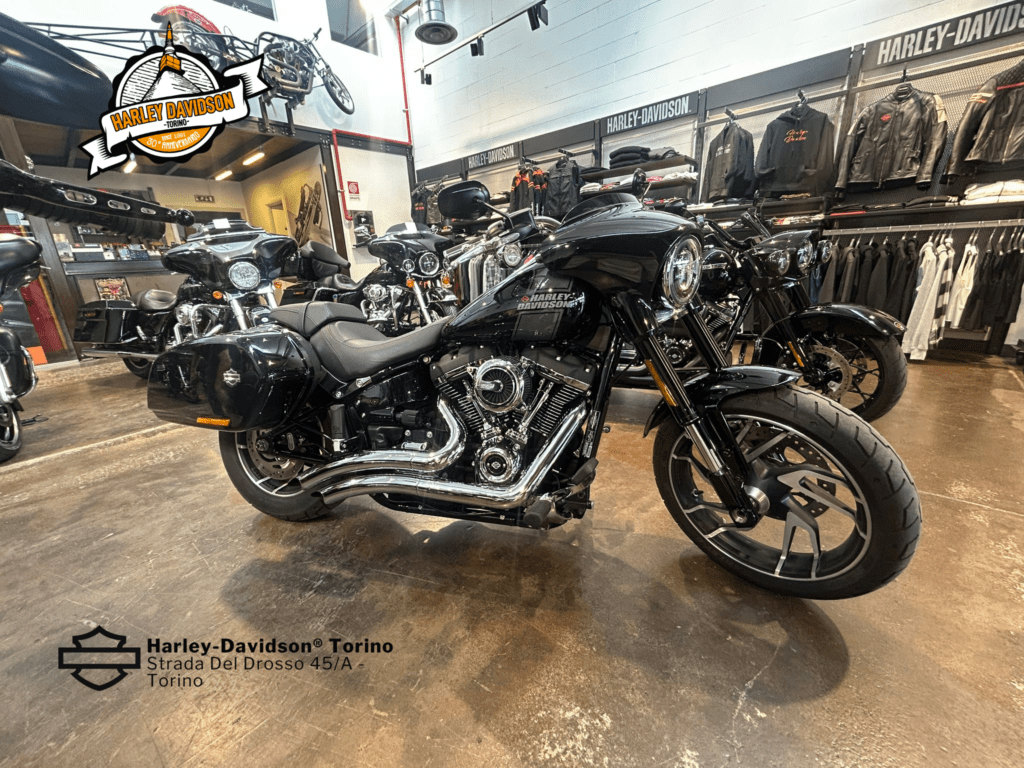 Harley-Davidson-Torino (1)