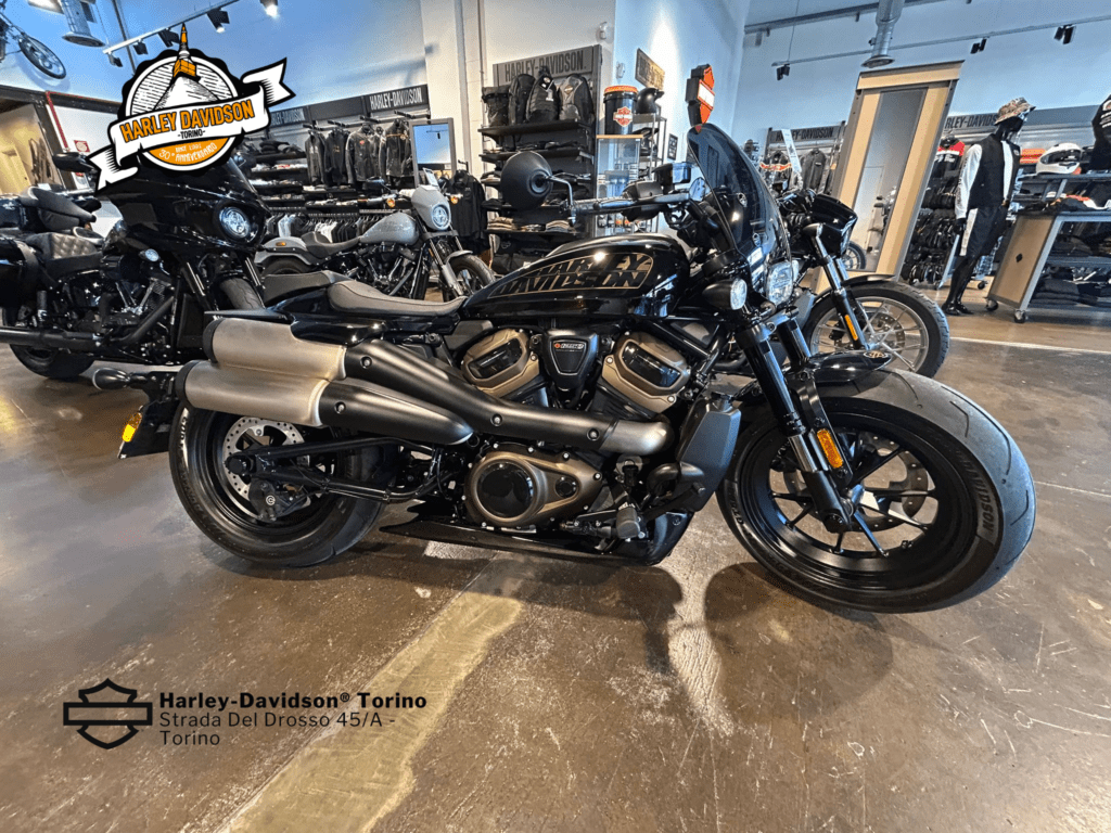 Harley-Davidson-Torino (2)