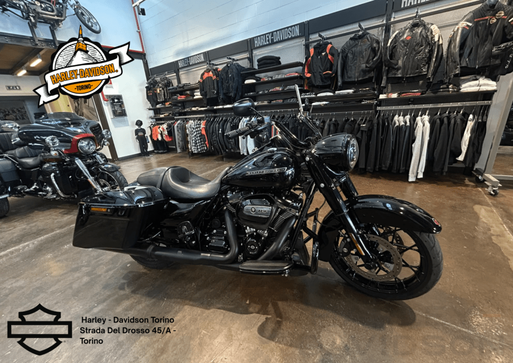 Harley Davidson Torino (21)