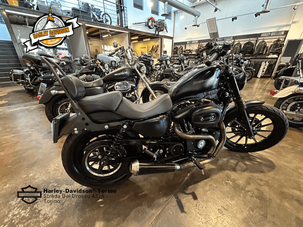 Harley-Davidson-Torino (3)