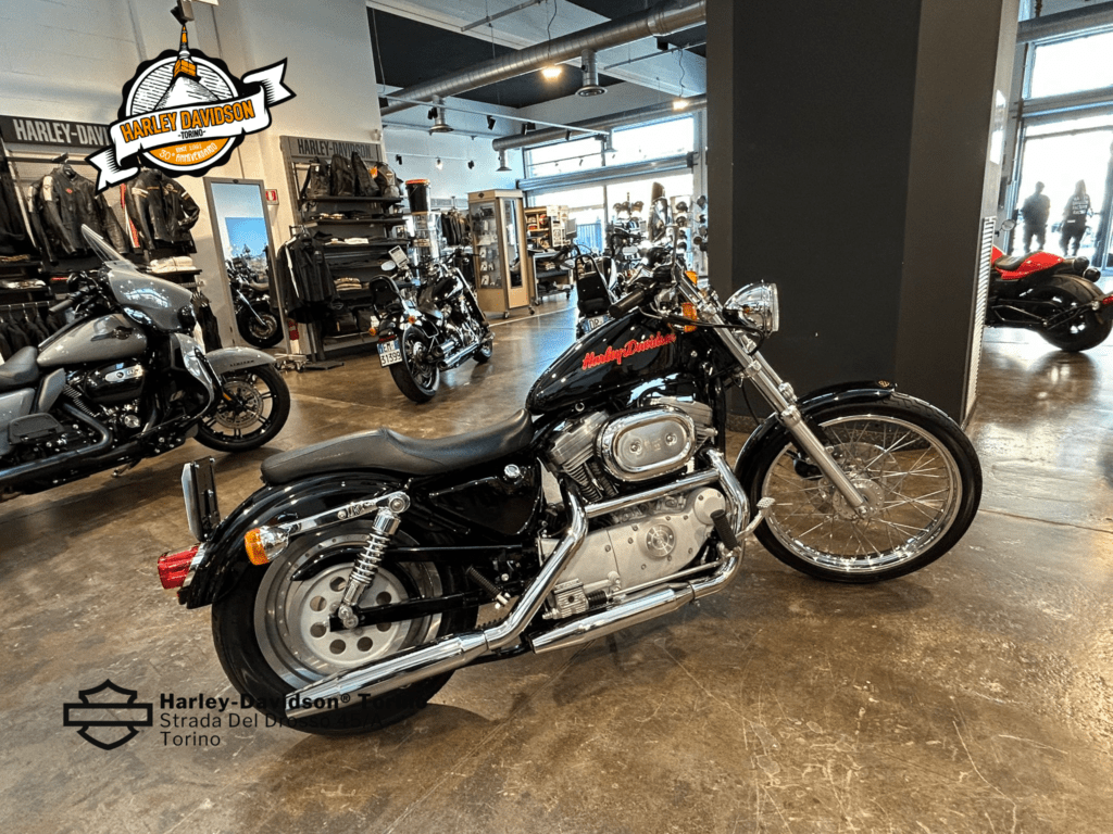 Harley-Davidson-Torino (4)