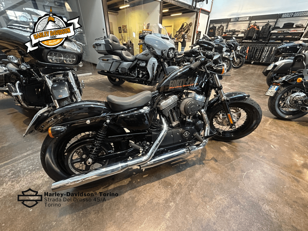 Harley-Davidson-Torino (4)