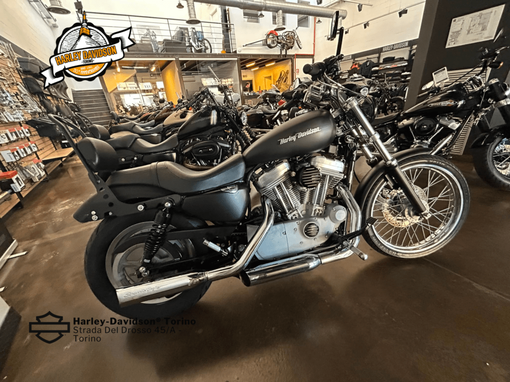 Harley-Davidson-Torino (1)