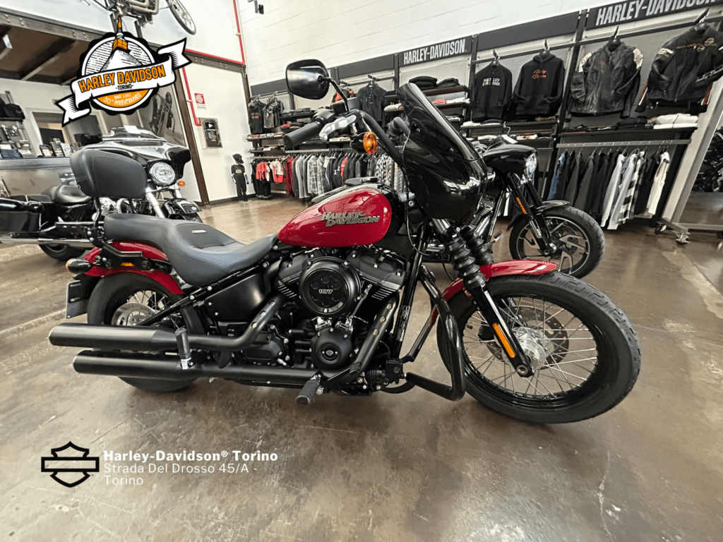 Harley-Davidson-Torino (11)