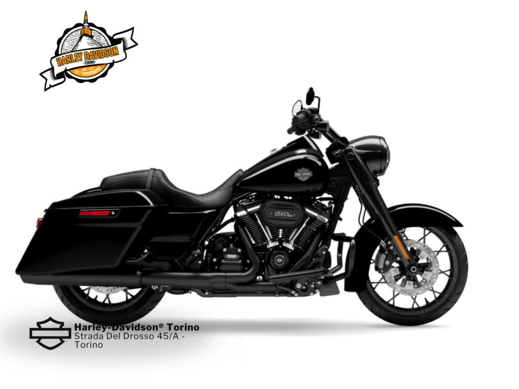 Harley-Davidson-Torino (5)
