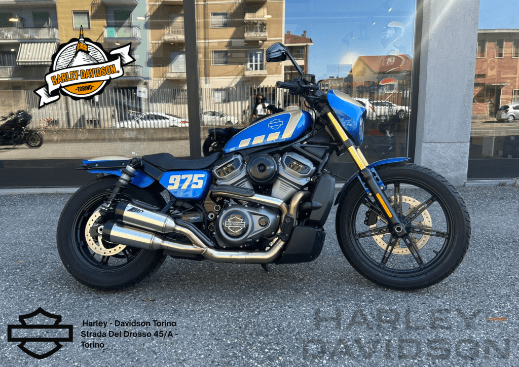 Harley Davidson Torino