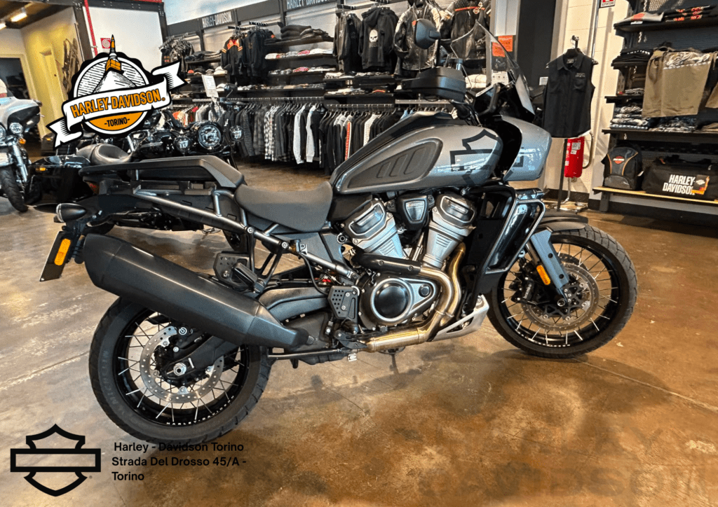Harley Davidson Torino (10)