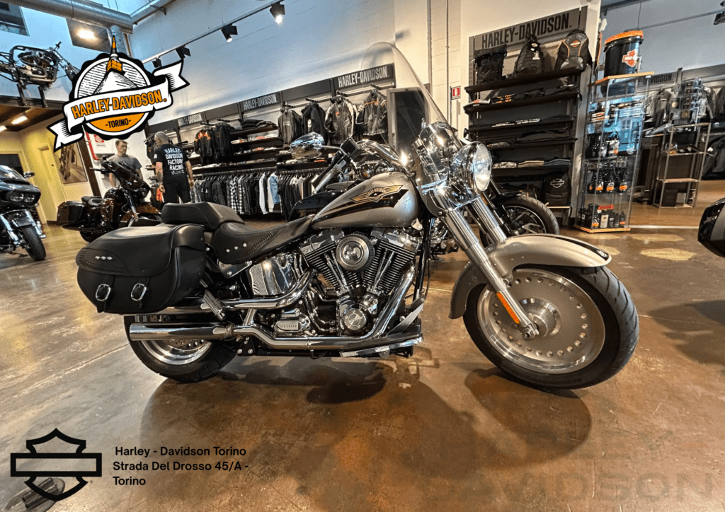 Harley Davidson Torino (11)