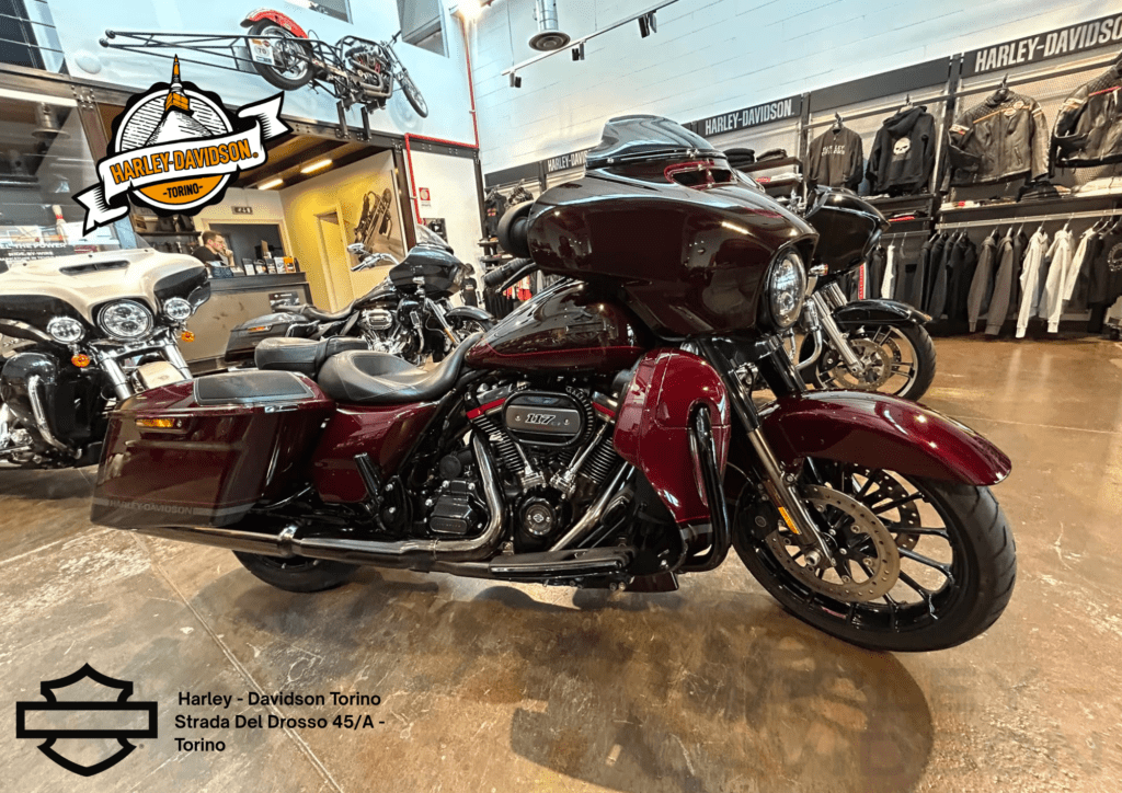 Harley Davidson Torino (12)