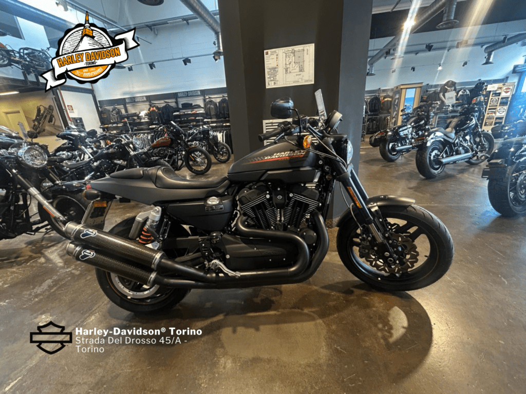 Harley-Davidson-Torino (12)