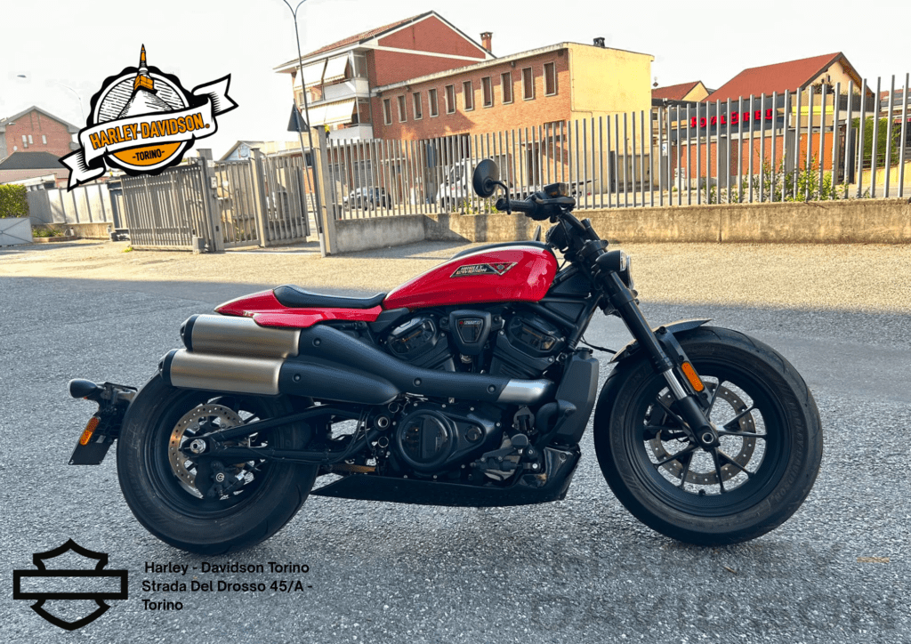 Harley Davidson Torino (3)