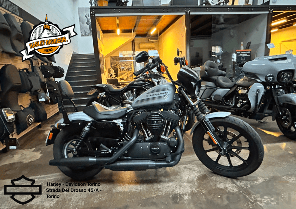Harley Davidson Torino (5)