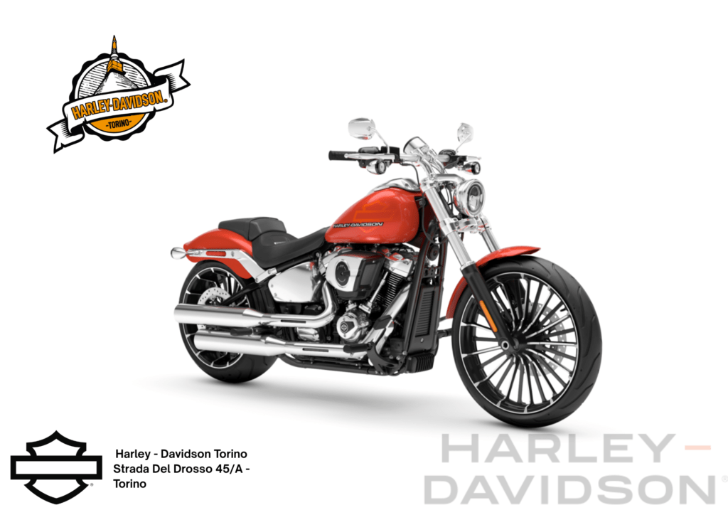Harley Davidson Torino