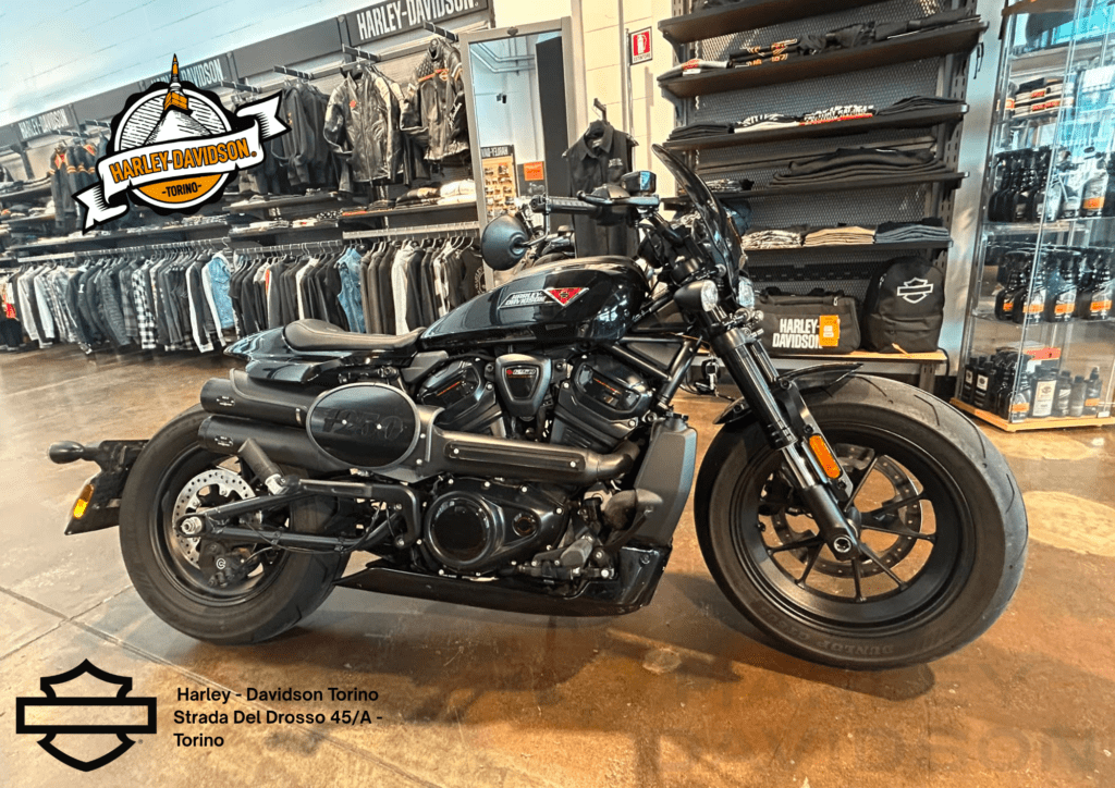 Harley Davidson Torino (6)