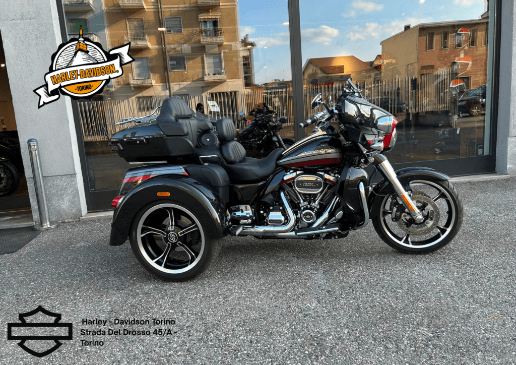 Harley Davidson Torino (9)