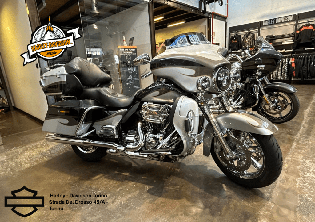 Harley Davidson Torino (13)