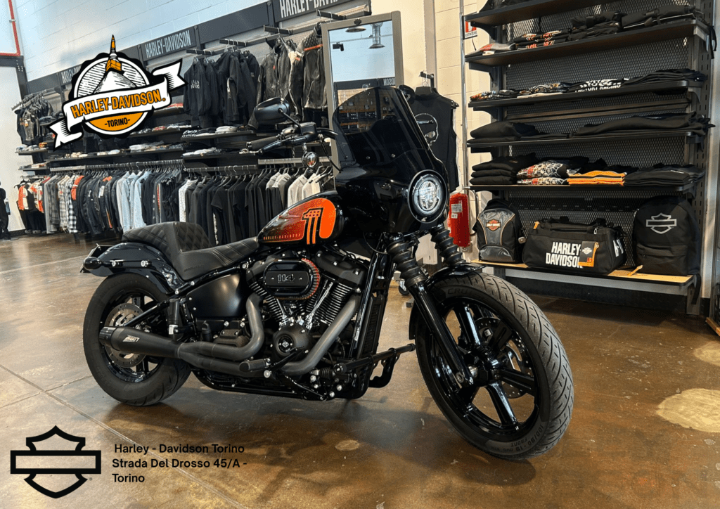 Harley Davidson Torino (13)