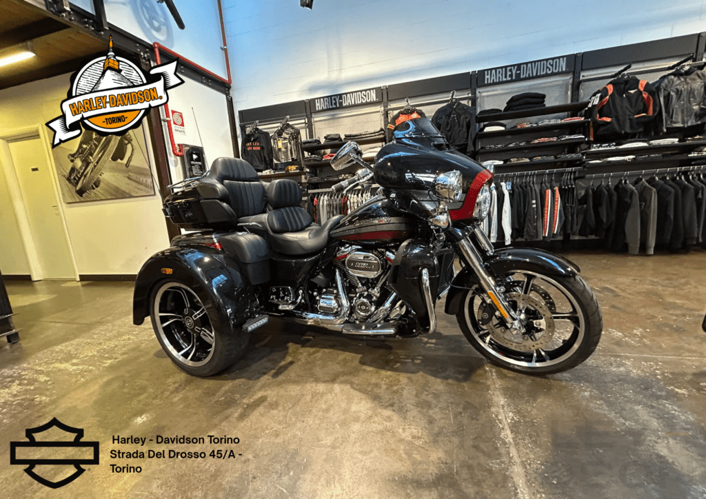 Harley Davidson Torino (15)