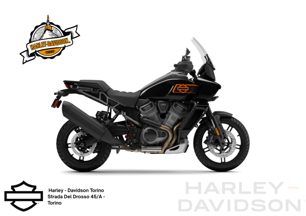 Harley Davidson Torino (16)