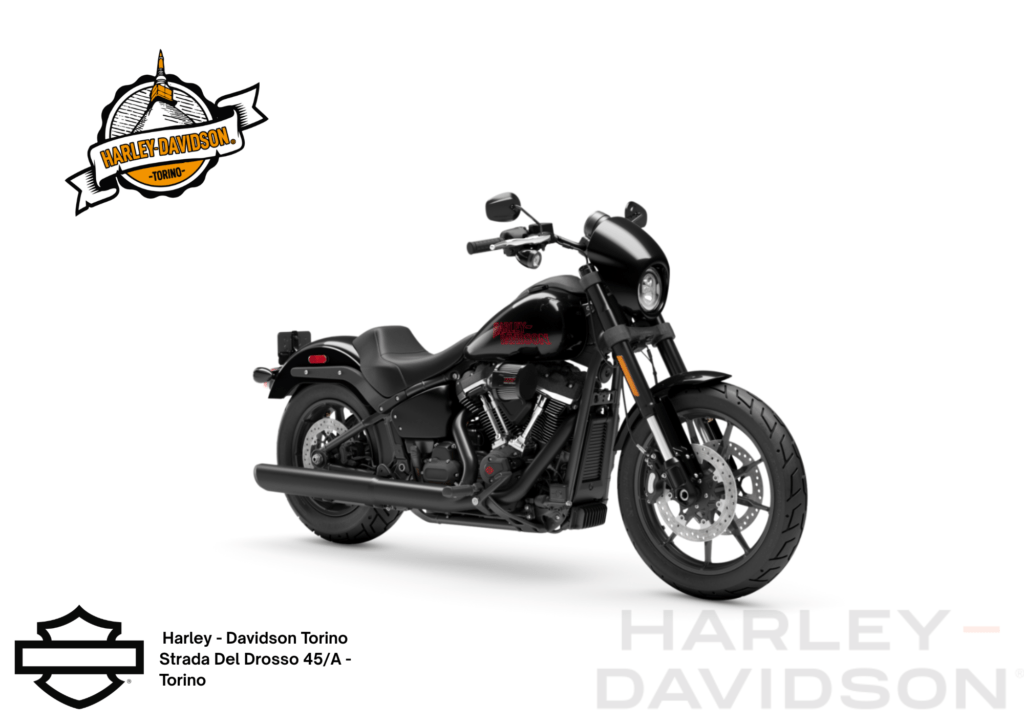 Harley Davidson Torino (17)