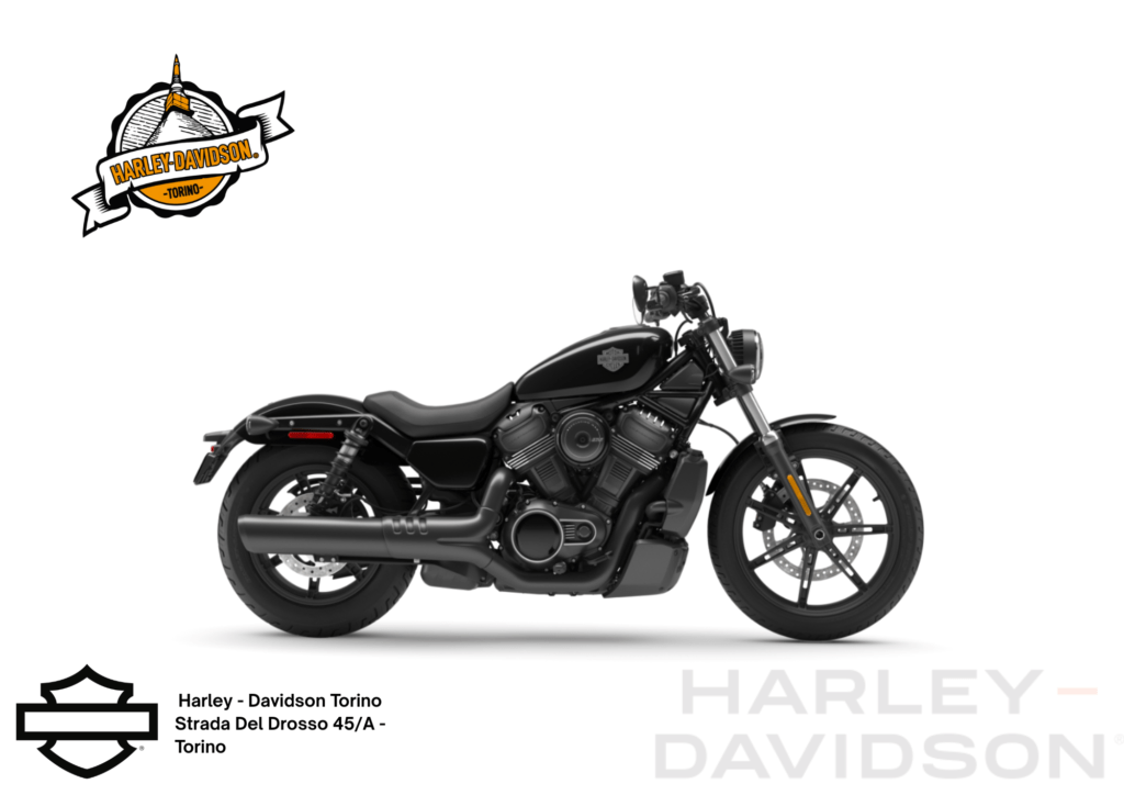 Harley Davidson Torino (19)