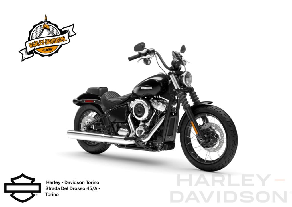 Harley Davidson Torino (2)