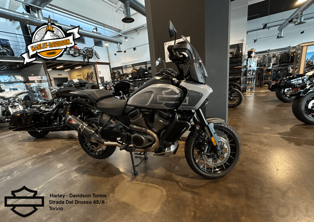 Harley Davidson Torino (20)