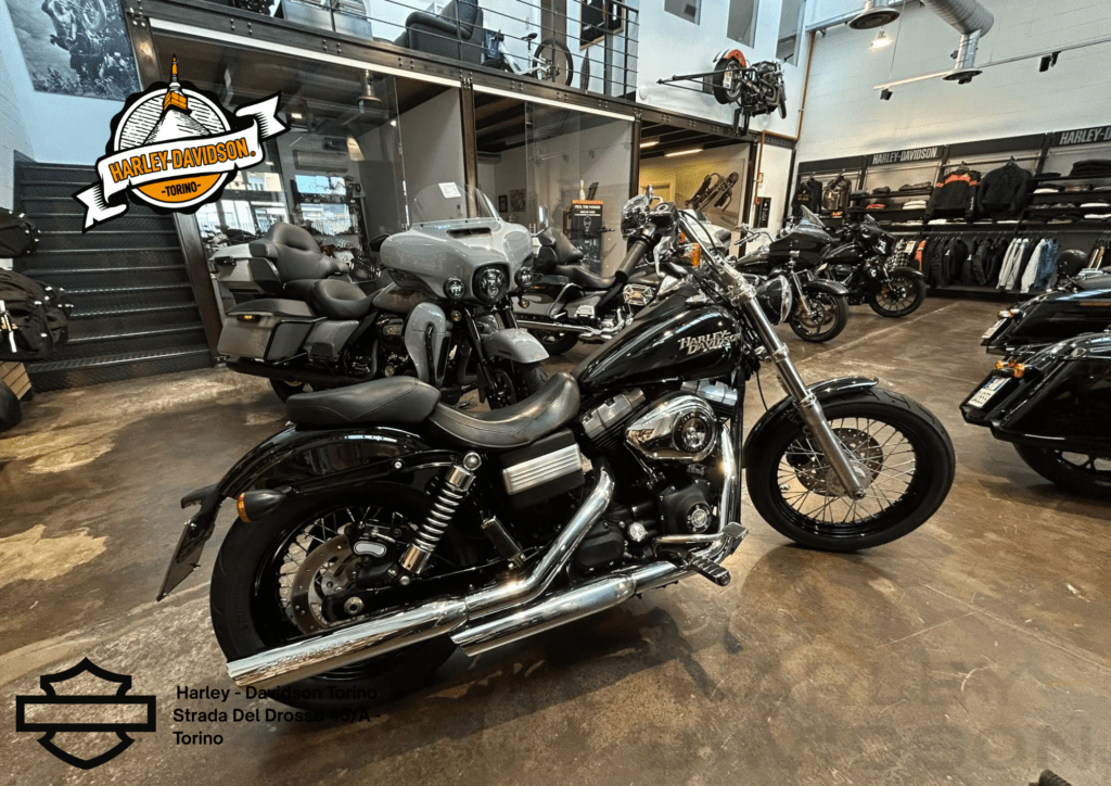 Harley Davidson Torino (25)