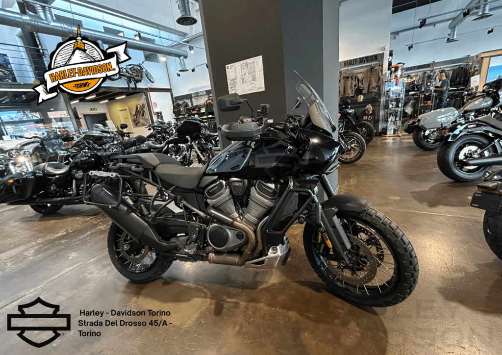 Harley Davidson Torino (26)