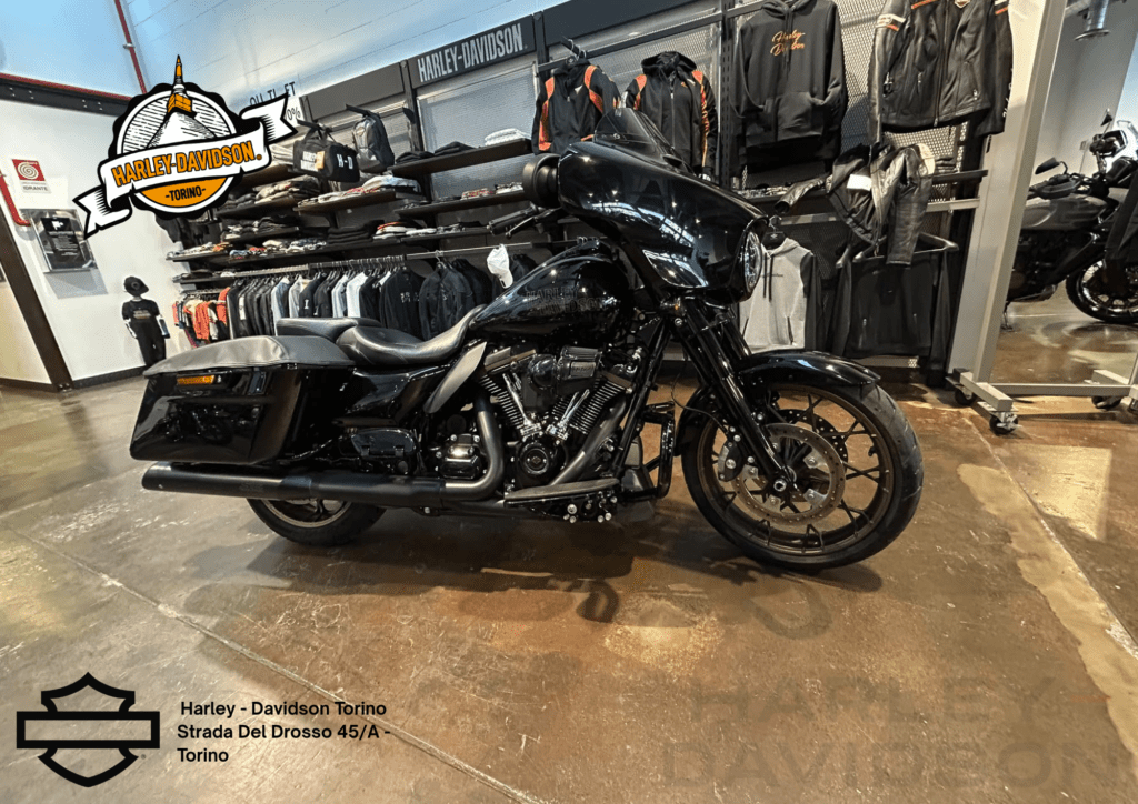 Harley Davidson Torino (27)