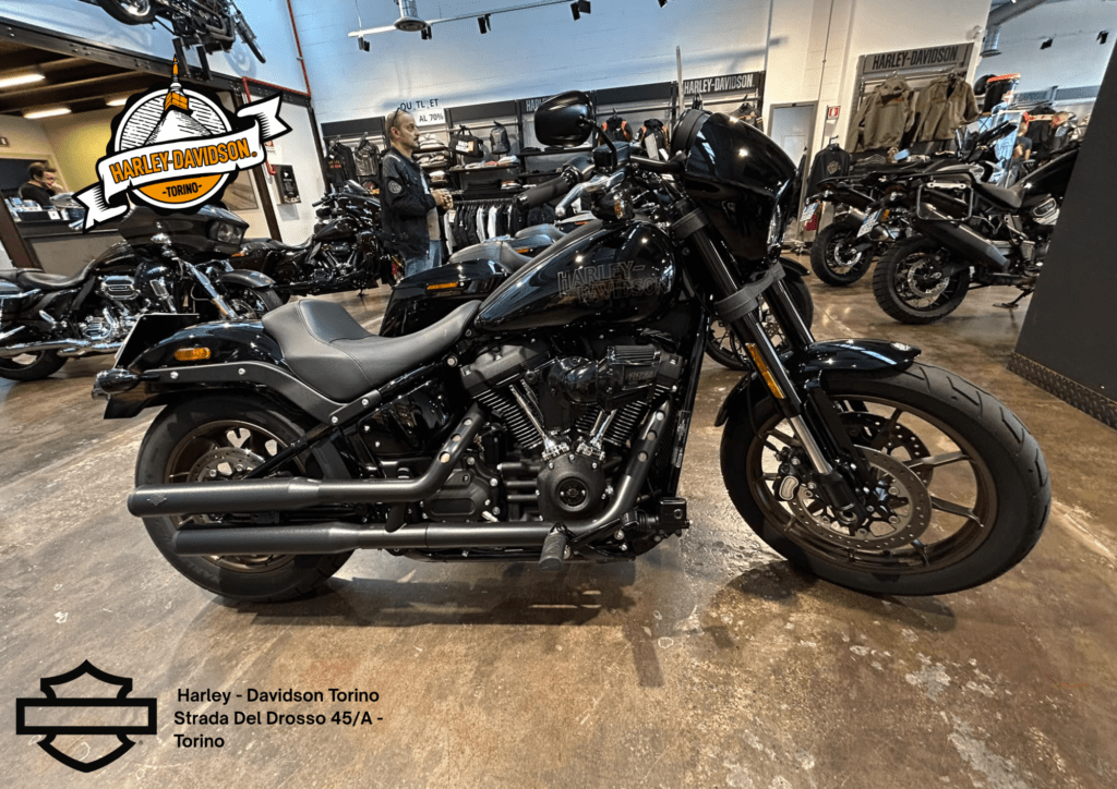 Harley Davidson Torino (28)
