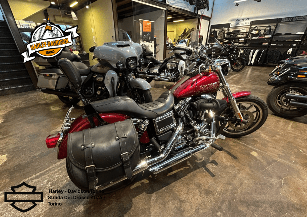 Harley Davidson Torino (29)