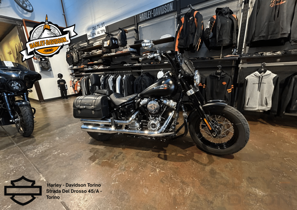 Harley Davidson Torino (30)