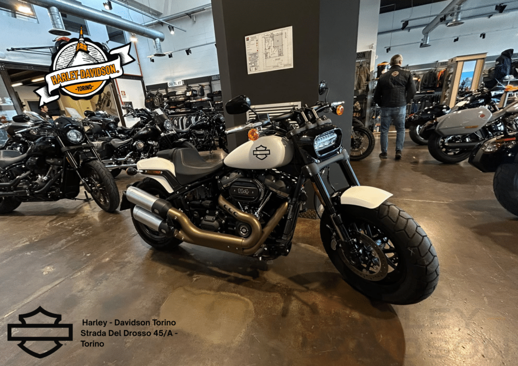 Harley Davidson Torino (31)