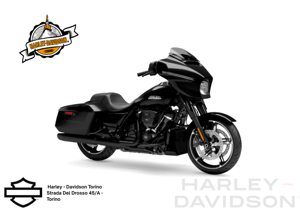 Harley Davidson Torino (4)