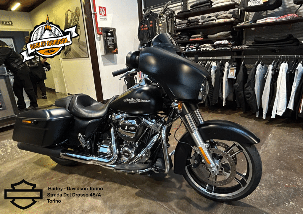 Harley Davidson Torino (34)