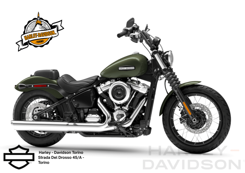 Harley Davidson Torino (36)
