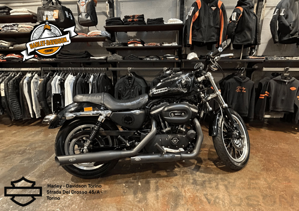 Harley Davidson Torino (37)
