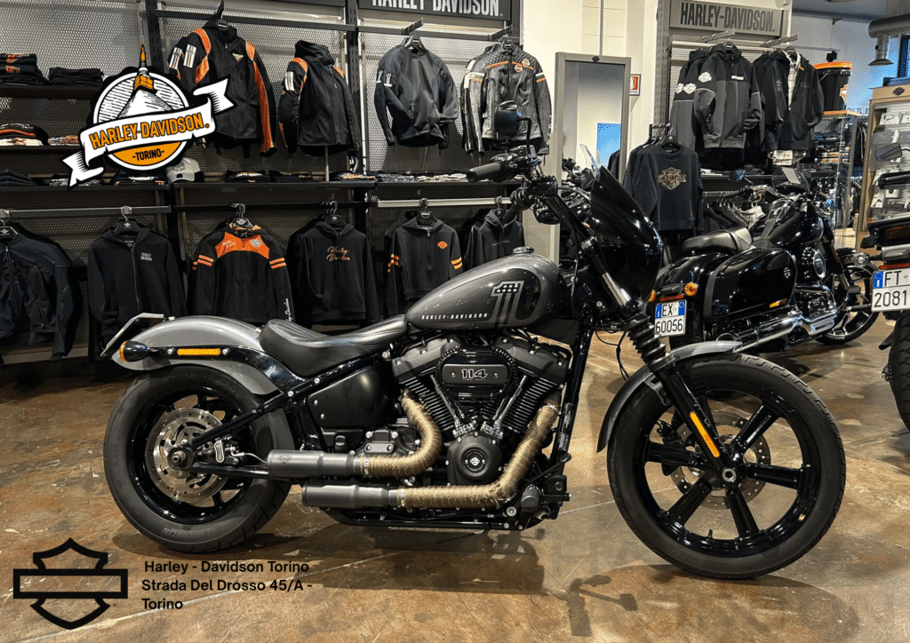 Harley Davidson Torino (38)