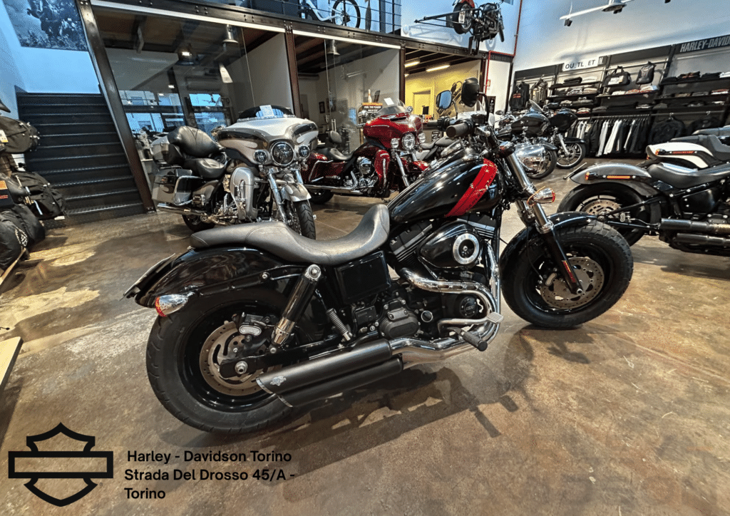 Harley Davidson Torino (4)