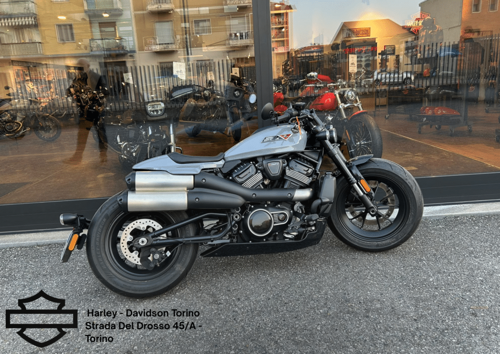 Harley Davidson Torino (67)