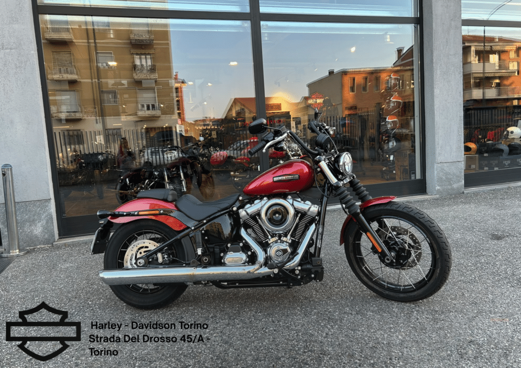 Harley Davidson Torino (68)